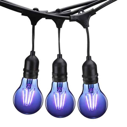Shown with Blue Bulbs