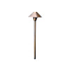 LV41 Area Light in Copper Finish