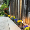 Modern and Sleek Mini Area Light Fixture with Frosted Diffuser - N.S.C. - OAL-PAM-1021