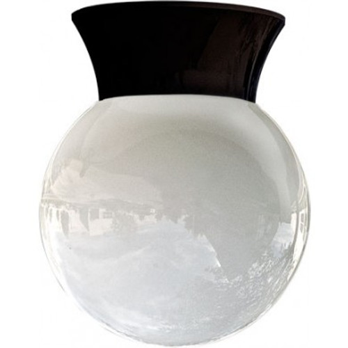 Shown in Black